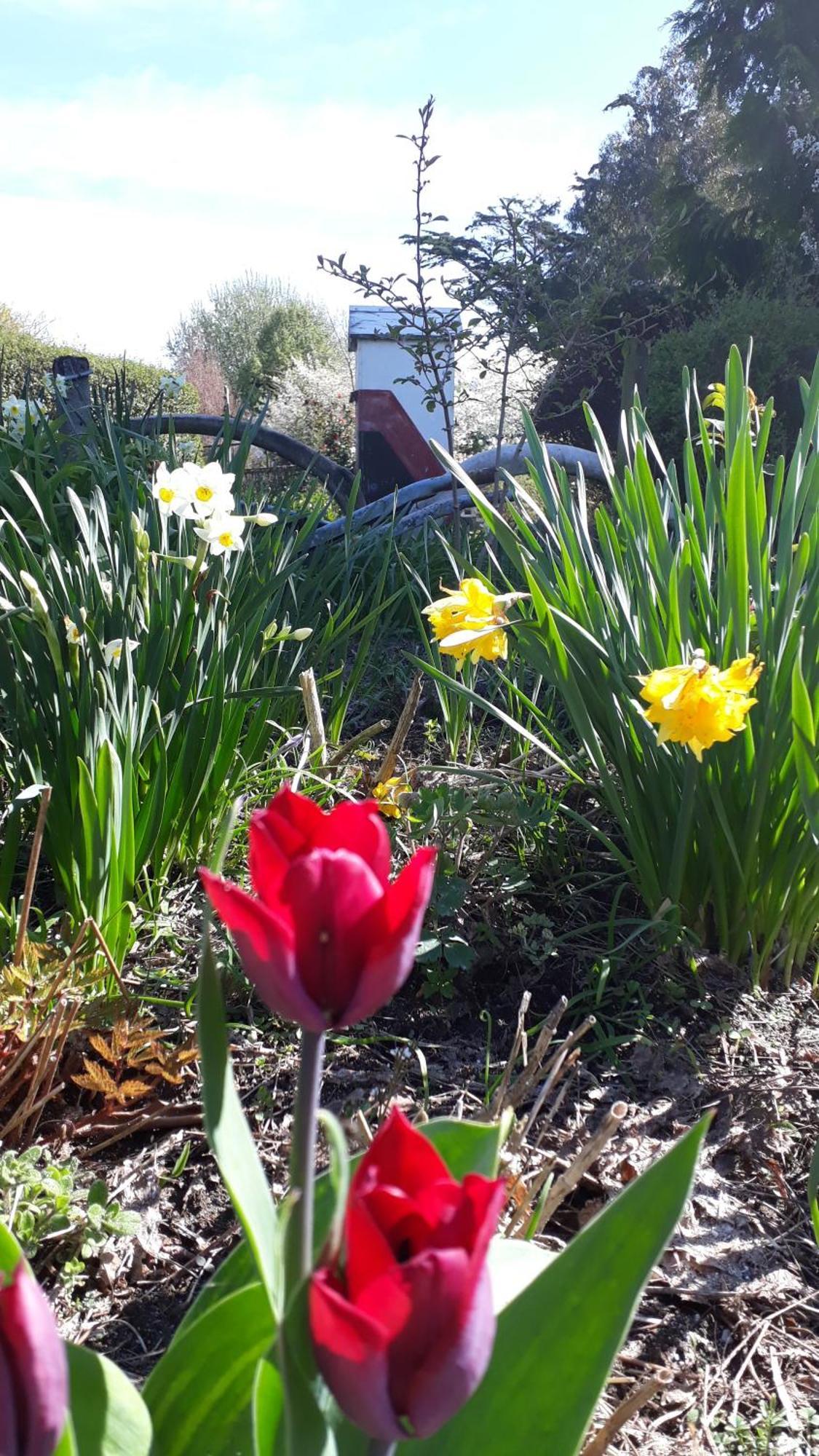 Folster Gardens Bed And Breakfast Invercargill Zewnętrze zdjęcie