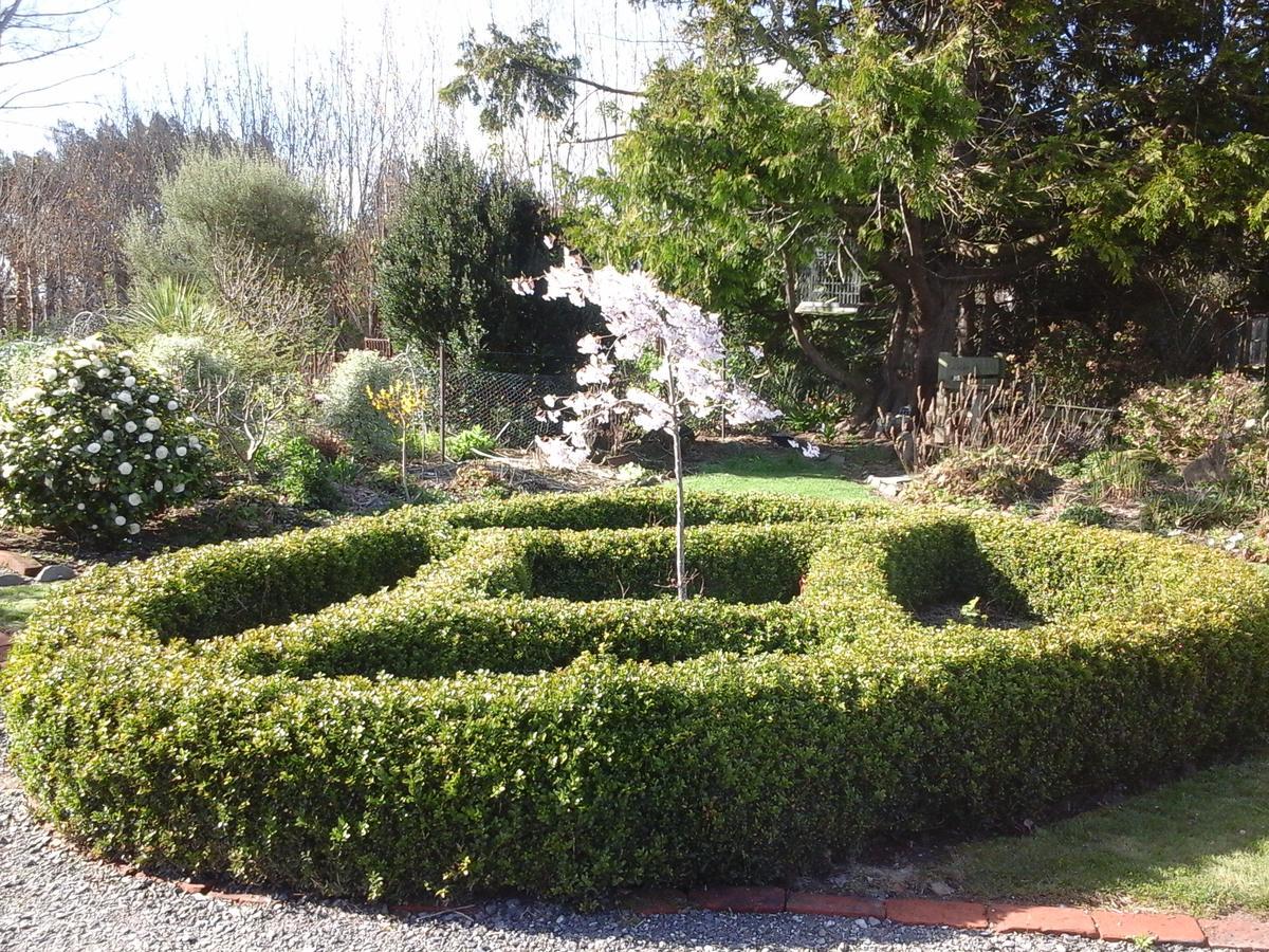 Folster Gardens Bed And Breakfast Invercargill Zewnętrze zdjęcie