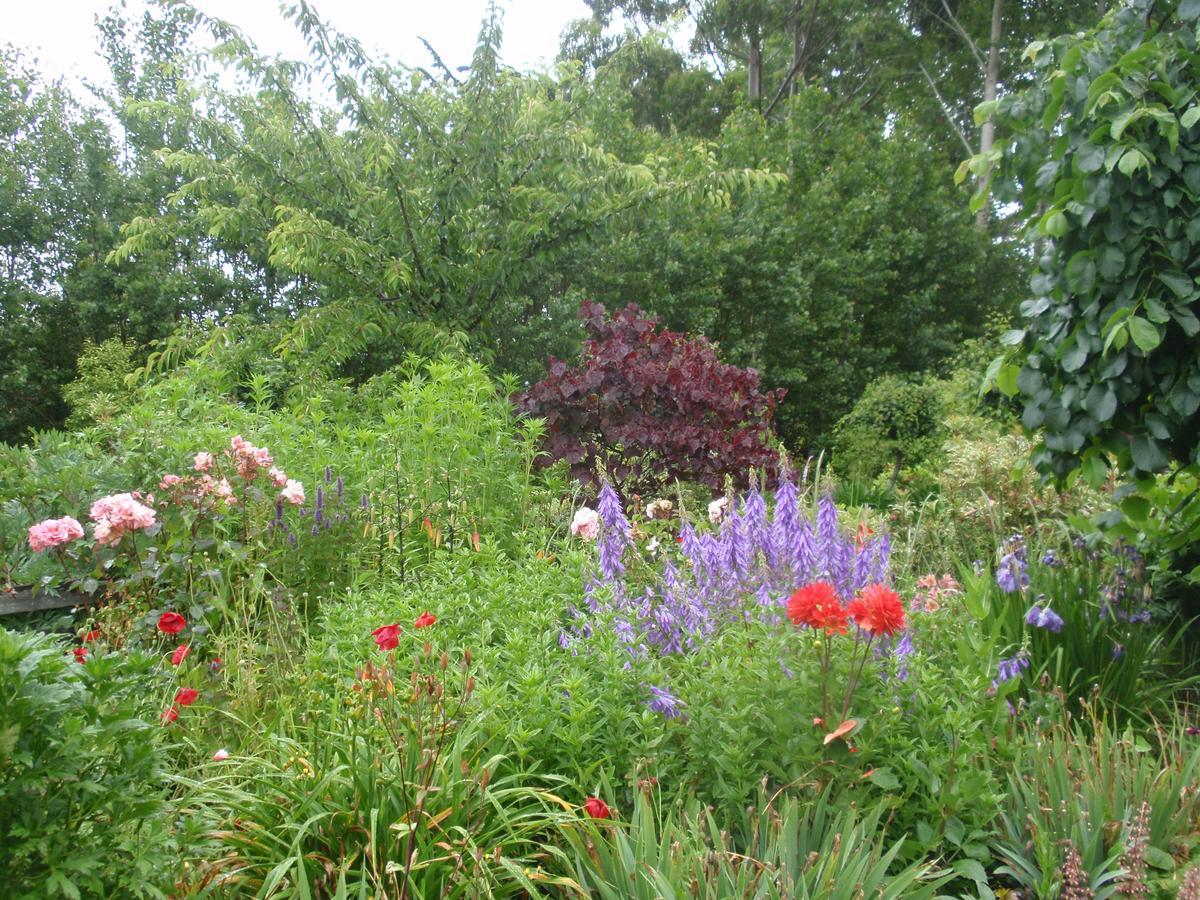 Folster Gardens Bed And Breakfast Invercargill Zewnętrze zdjęcie